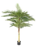 Kunstlik PHOENIX palm 2T