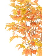 Artificial PLANE TREE 240