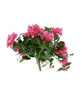 Kunstlik suur ripppõõsas BOUGAINVILLEA UV
