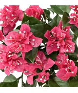 Kunstlik suur ripppõõsas BOUGAINVILLEA UV