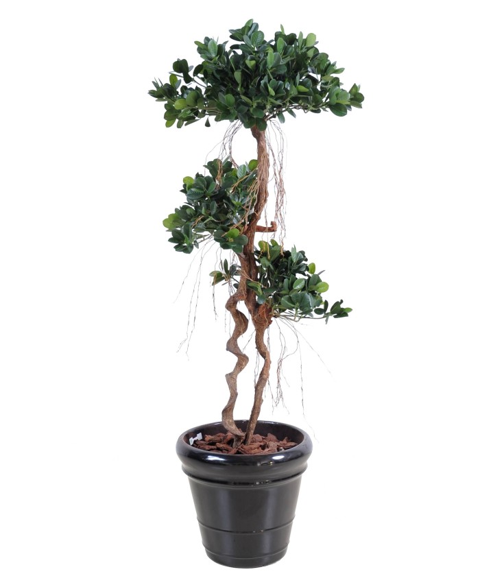 Artificial FICUS PANDA NEW 150