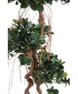 Artificial FICUS PANDA NEW 150