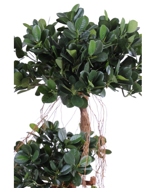 Artificial FICUS PANDA NEW 150