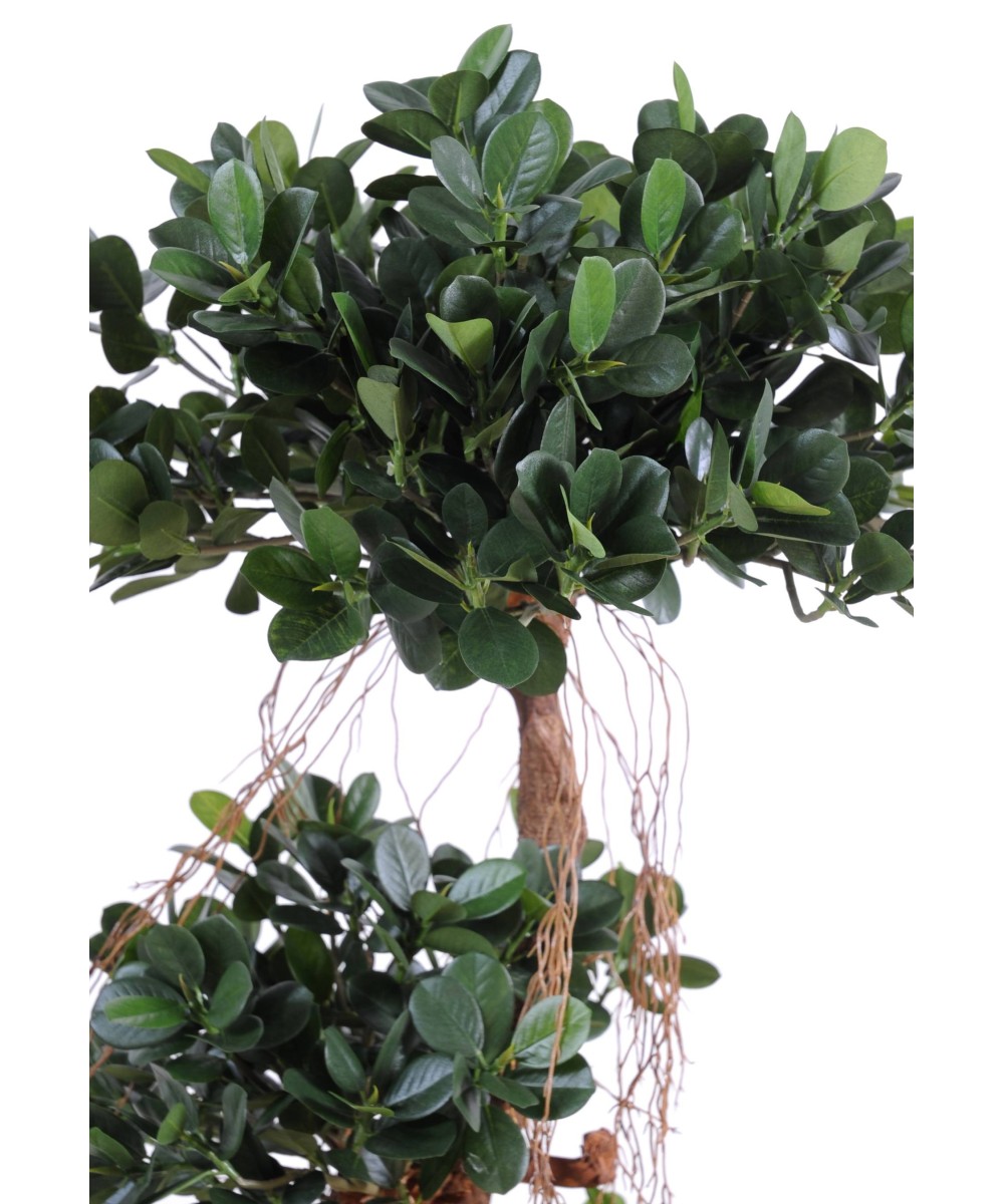 Artificial FICUS PANDA NEW 150