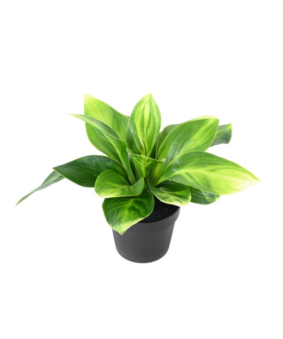 Kunstlik HOSTA pott