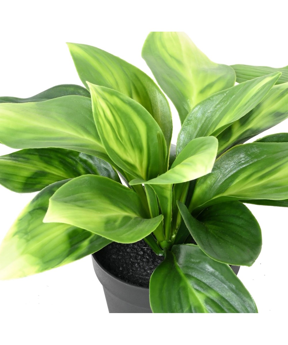 Kunstlik HOSTA pott