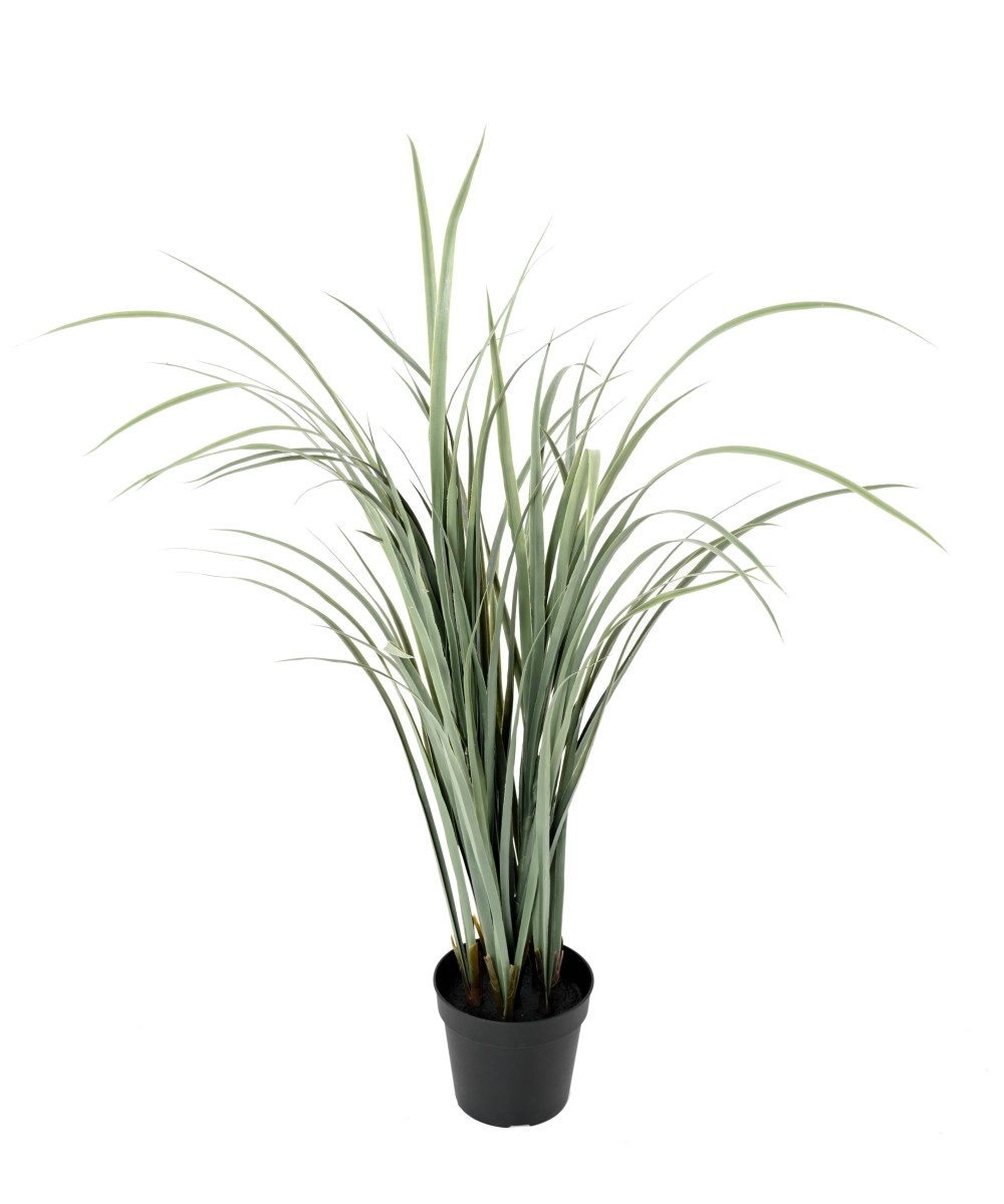 Kunstlik tsitronella (CITRONELLA CYMBOPOGNON CITRATUS)