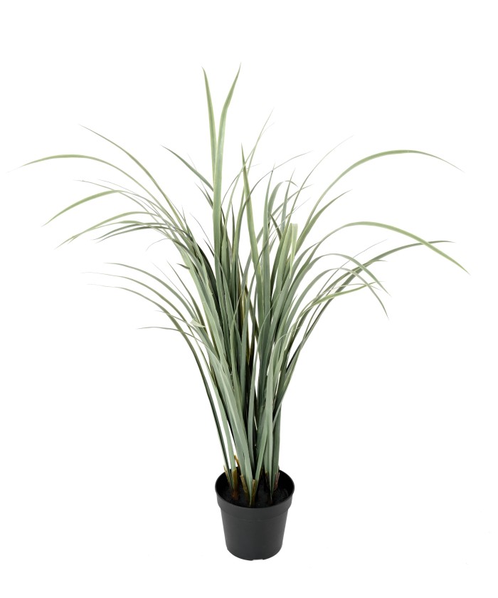 Kunstlik tsitronella (CITRONELLA CYMBOPOGNON CITRATUS)