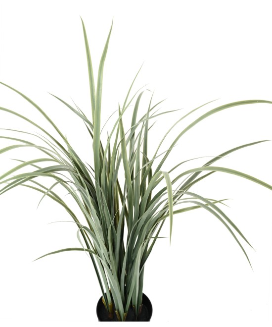 Kunstlik tsitronella (CITRONELLA CYMBOPOGNON CITRATUS)