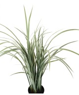 Artificial CITRONELLA CYMBOPOGNON CITRATUS