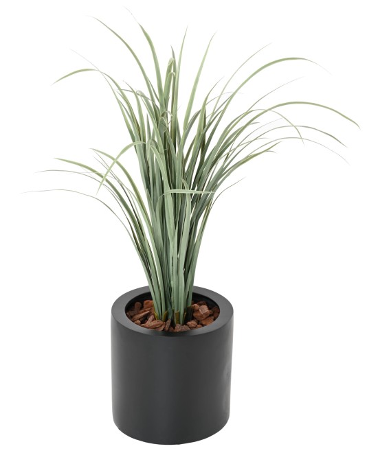 Kunstlik tsitronella (CITRONELLA CYMBOPOGNON CITRATUS)