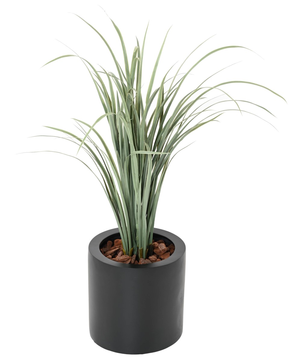Artificial CITRONELLA CYMBOPOGNON CITRATUS