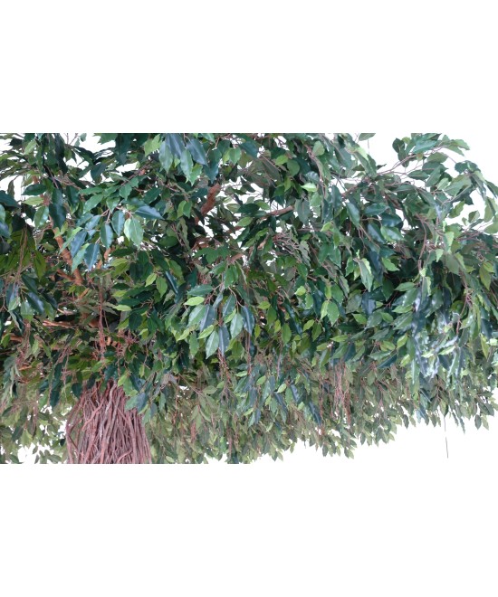 Artificial ficus CREEPERS UMBRELLA