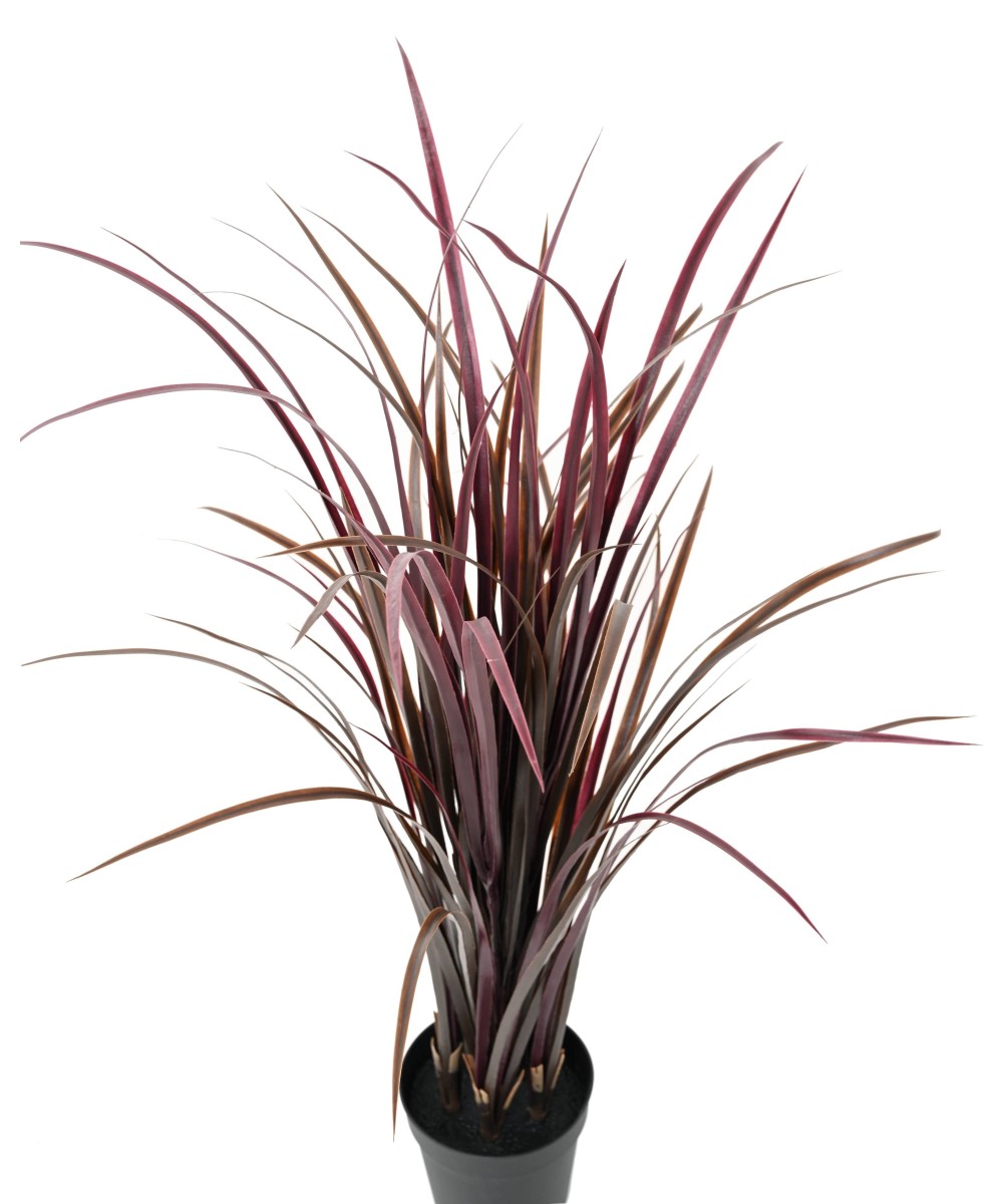 Kunstlik tsitronella (CITRONELLA CYMBOPOGNON CITRATUS)