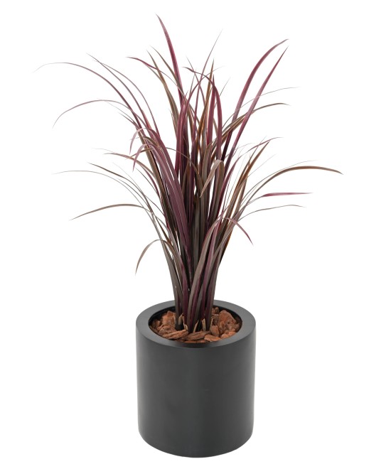 Kunstlik tsitronella (CITRONELLA CYMBOPOGNON CITRATUS)