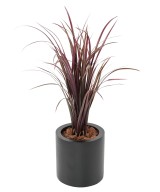Artificial CITRONELLA CYMBOPOGNON CITRATUS