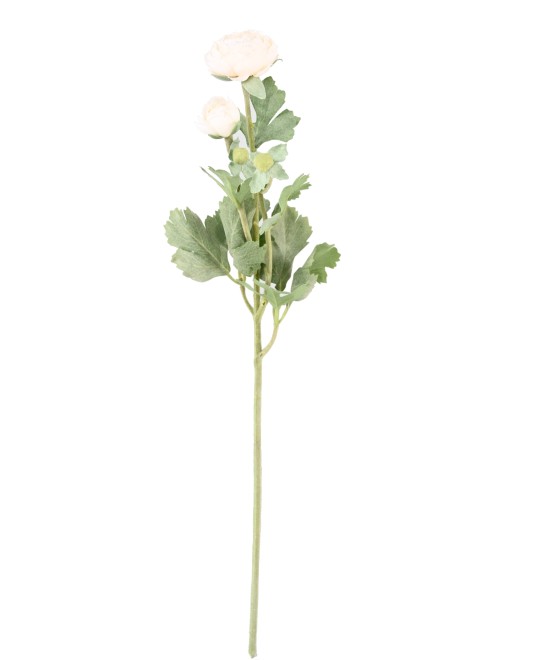 Kunstlik tulikas (RANUNCULUS) 55