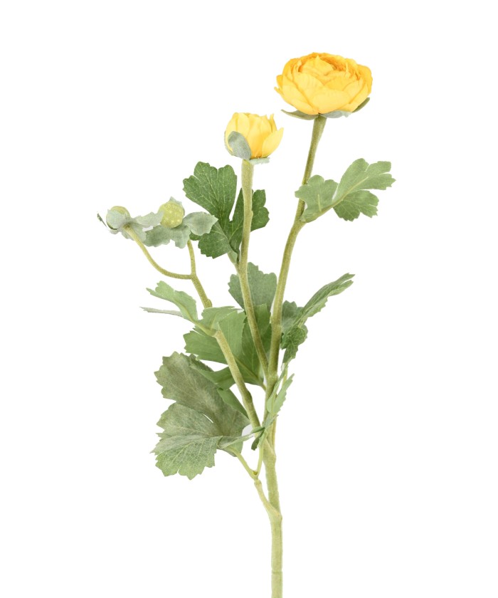 Kunstlik tulikas (RANUNCULUS) 55