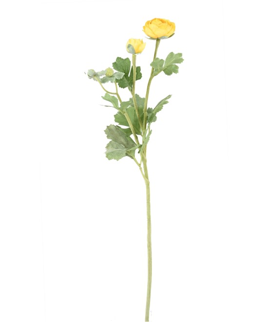 Kunstlik tulikas (RANUNCULUS) 55
