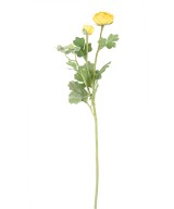 Kunstlik tulikas (RANUNCULUS) 55