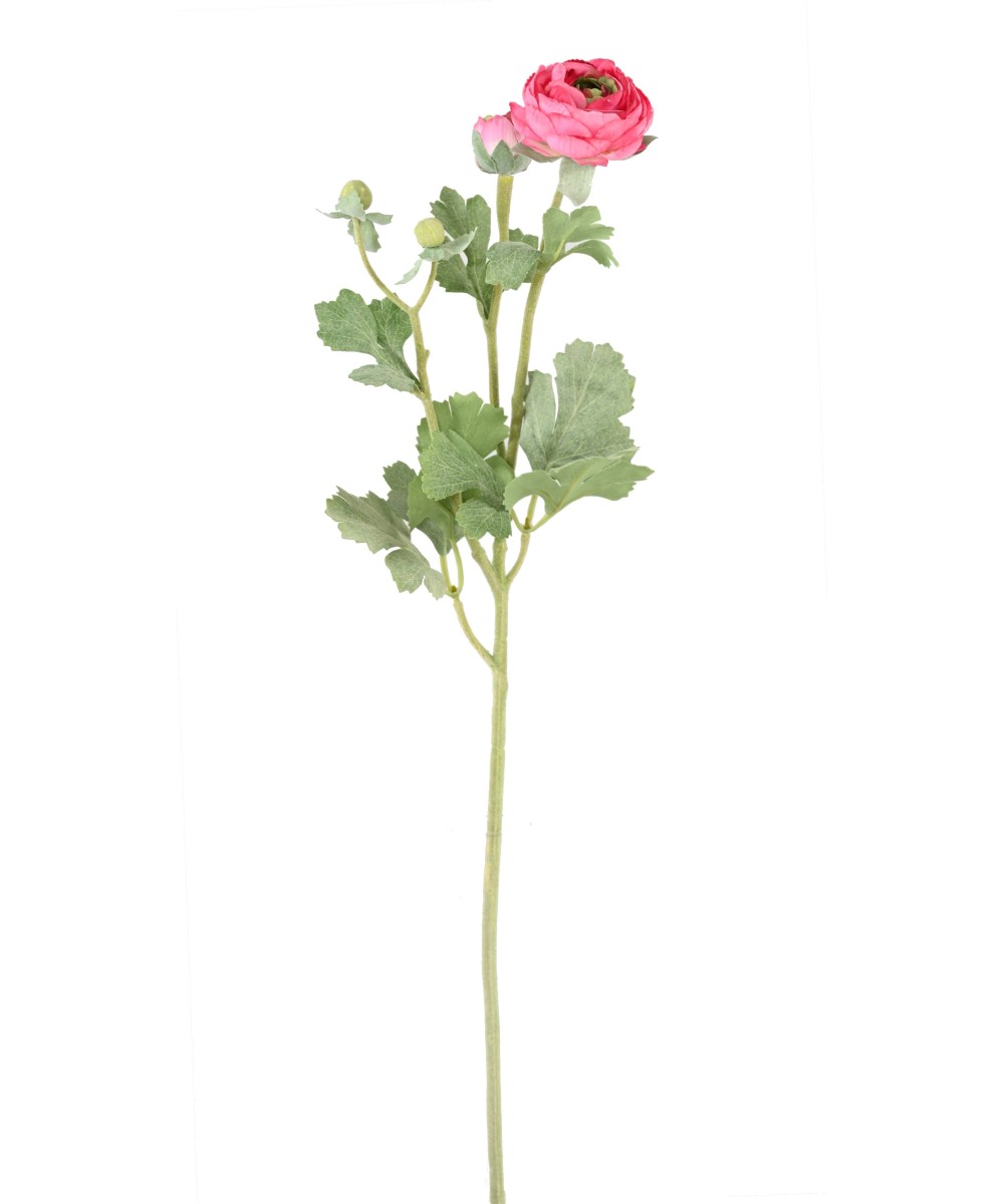 Kunstlik tulikas (RANUNCULUS) 55