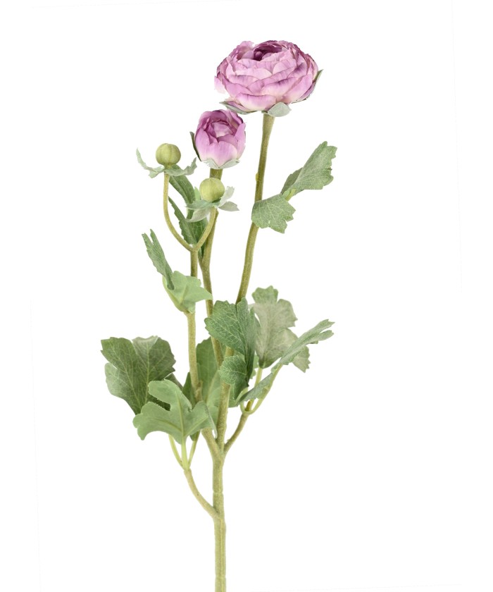Kunstlik tulikas (RANUNCULUS) 55