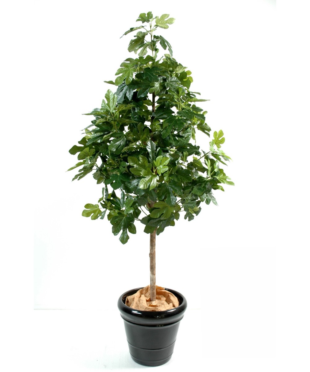 Artificial fig tree AND FRUIT