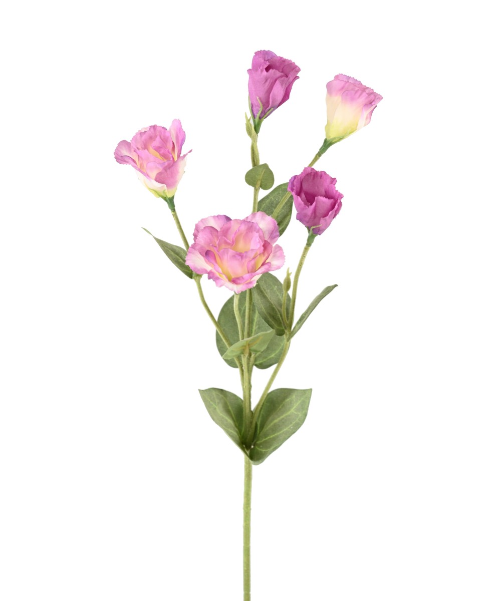 Kunstlik LISIANTHUS 76