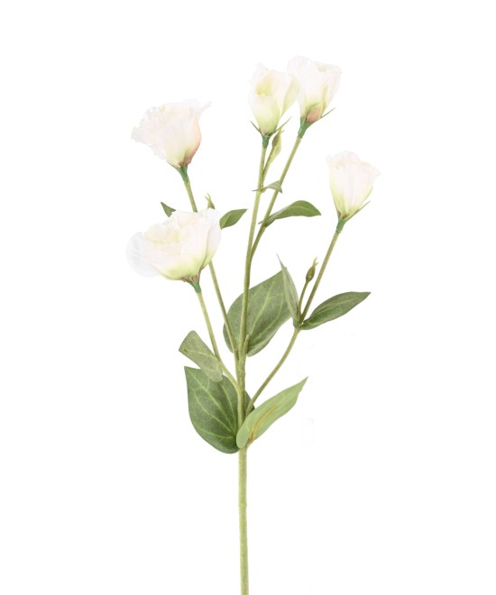 Kunstlik LISIANTHUS 76