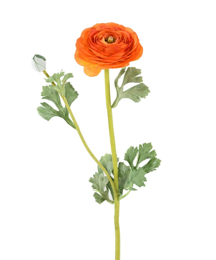 Kunstlik tulikas (RANUNCULUS) 68