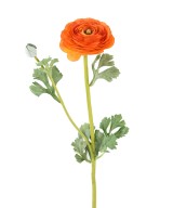 Kunstlik tulikas (RANUNCULUS) 68