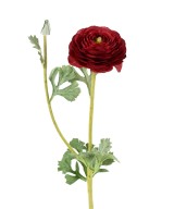 Kunstlik tulikas (RANUNCULUS) 68