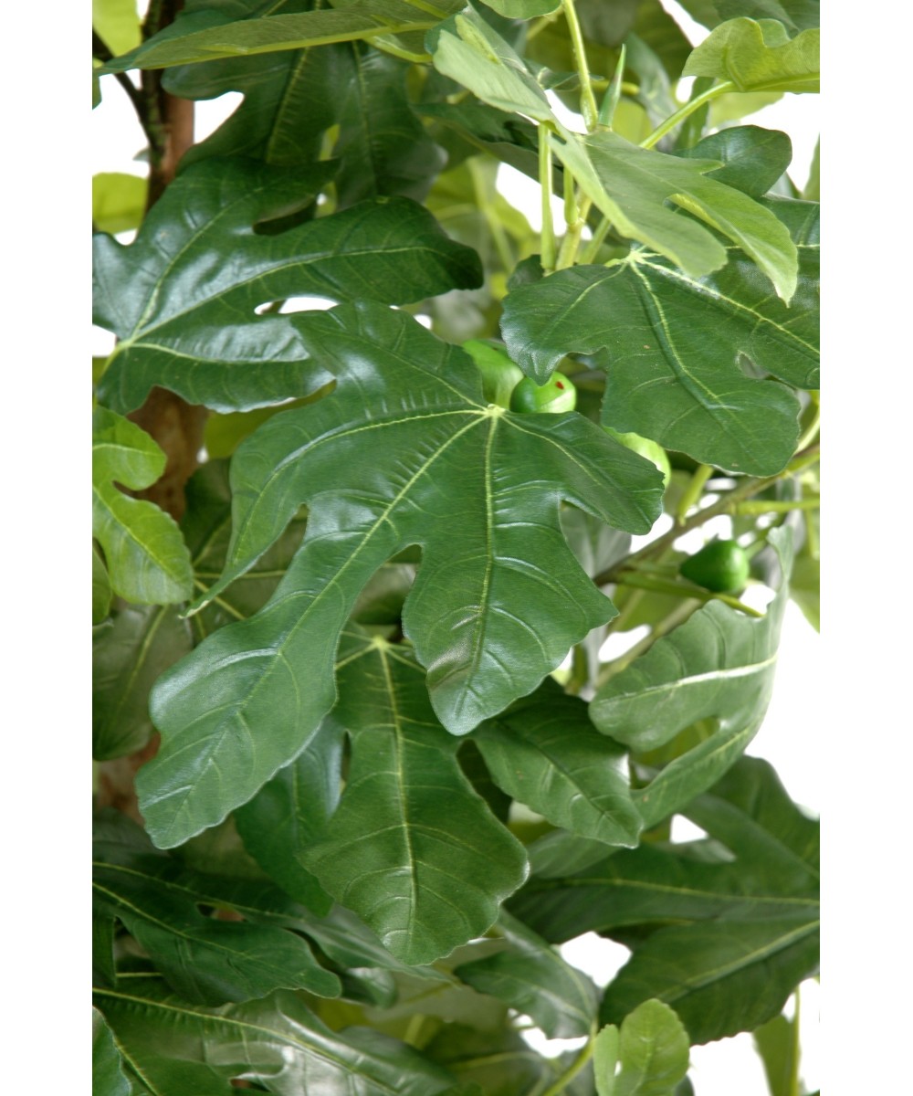 Artificial fig tree AND FRUIT