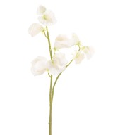 Artificial SWEET PEA