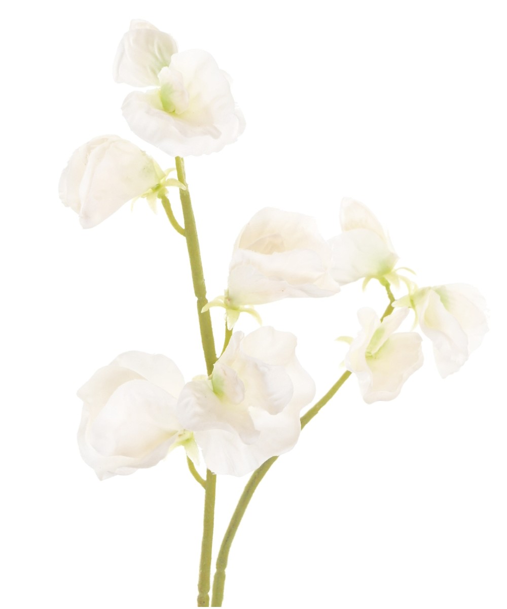 Artificial SWEET PEA
