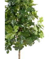 Artificial fig tree AND FRUIT