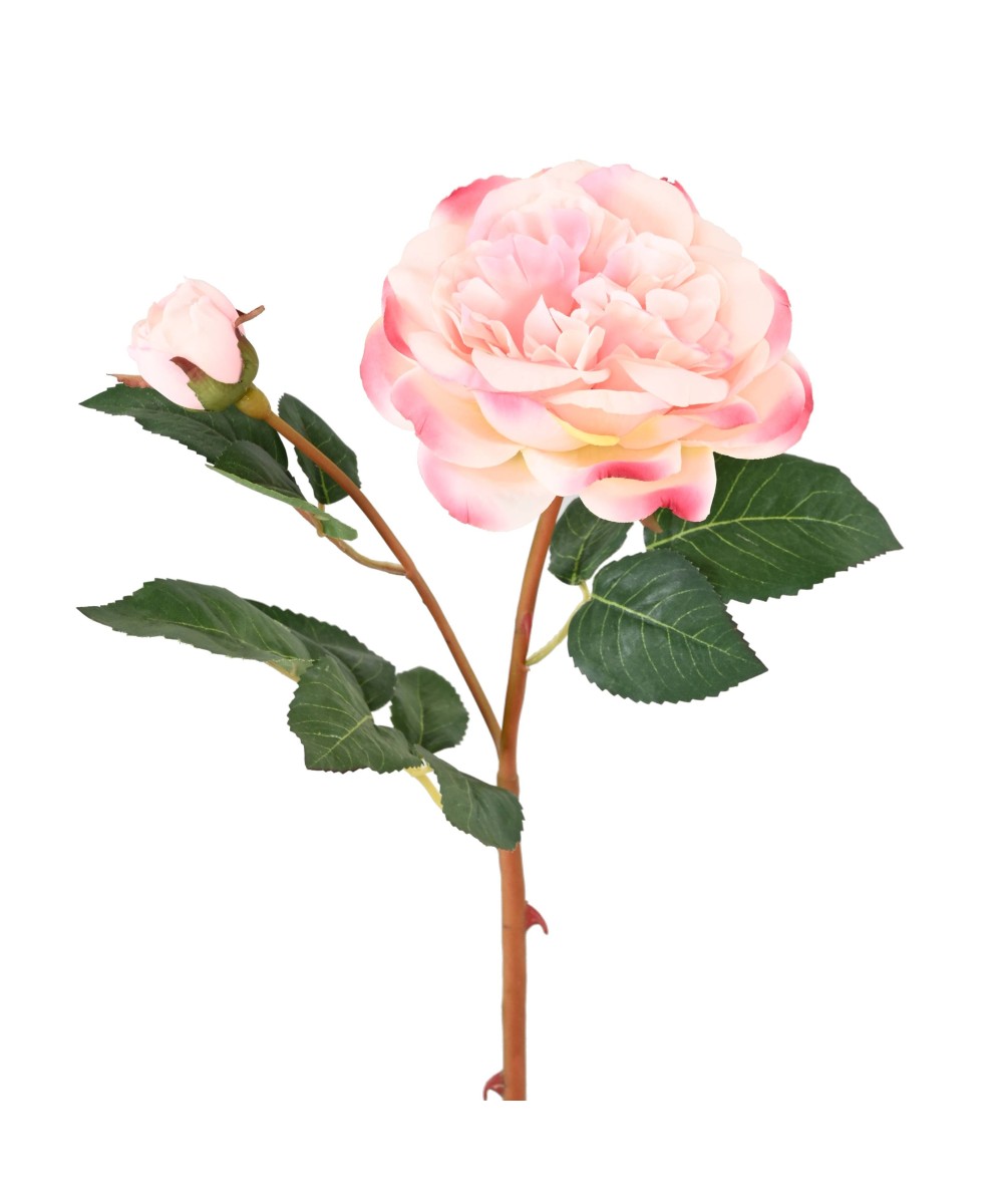 Artificial ROSE 53
