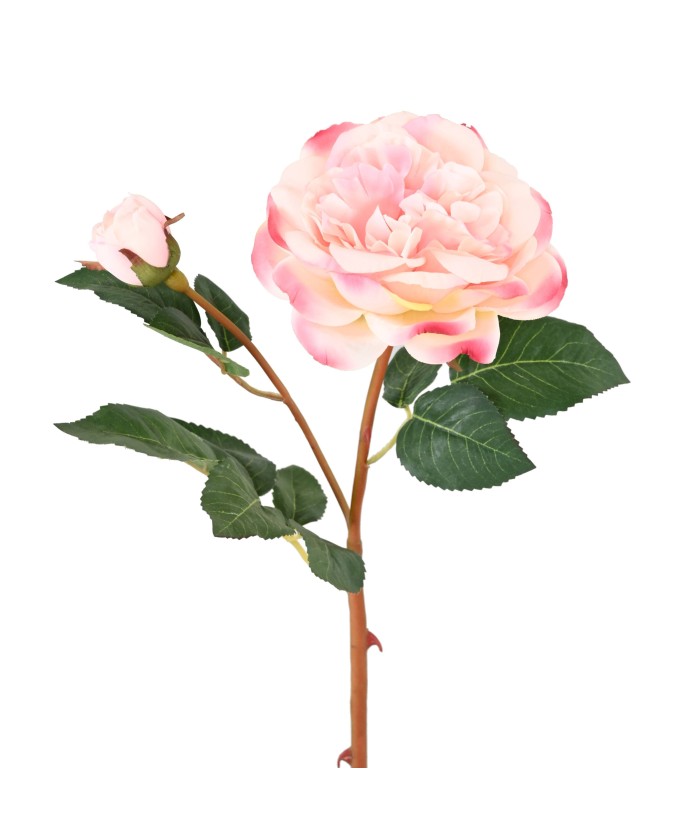 Artificial ROSE 53