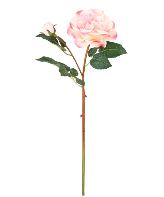 Artificial ROSE 53