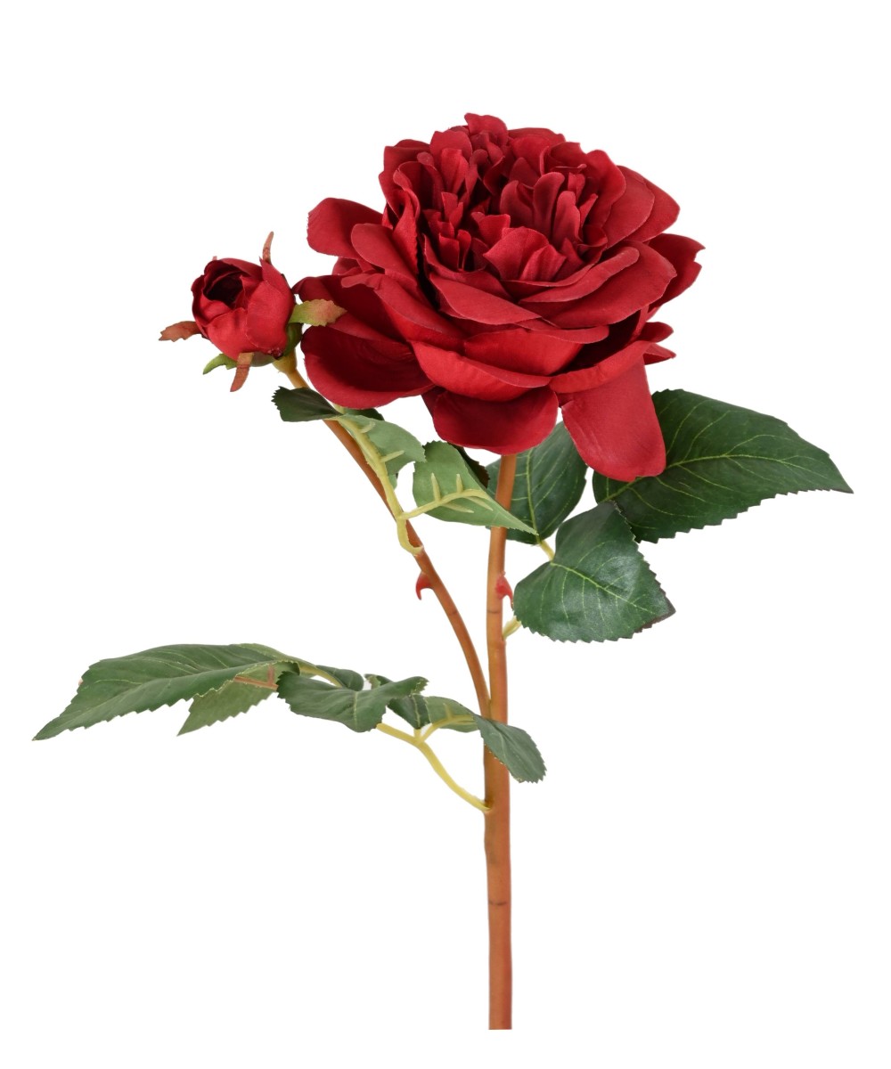 Artificial ROSE 53