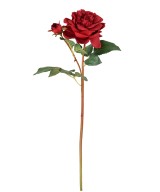 Artificial ROSE 53