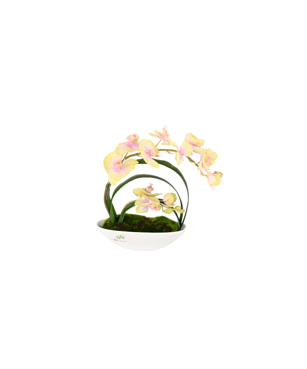 Kunstlik keskosaline kollane Phalaenopsis orhidee