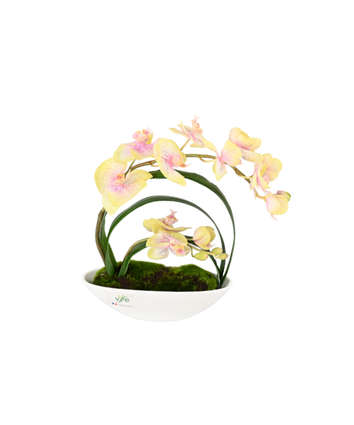 Kunstlik keskosaline kollane Phalaenopsis orhidee