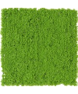Artificial SPHAGNOPSIDA MOSS 50*50