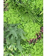 Artificial GREEN WALL PANEL K 100*100