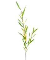 Artificial MIMOSA BLOSSOM