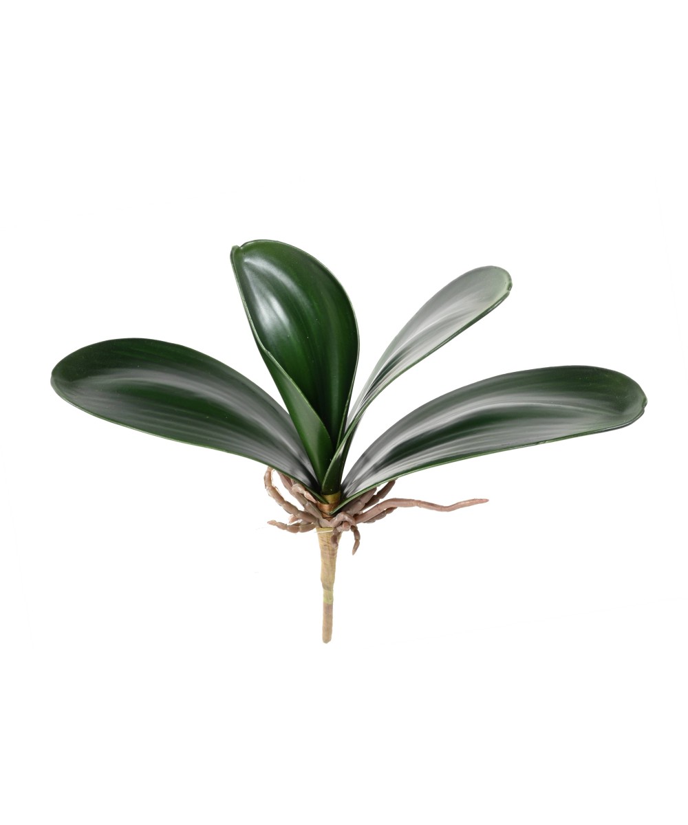 Artificial PHALAENOPSIS ORCHID LEAF