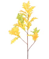 Kunstlik Ameerika tamm (QUERCUS RUBRA)