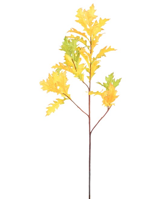Kunstlik Ameerika tamm (QUERCUS RUBRA)