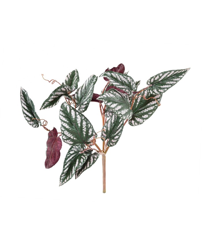 Kunstlik BEGONIA MACULATA